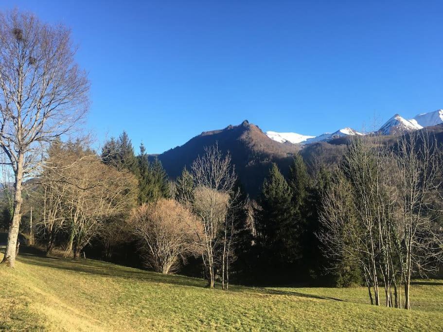 Top Floor Apartment With Mountain Views In The Centre Of Argeles Gazost 외부 사진